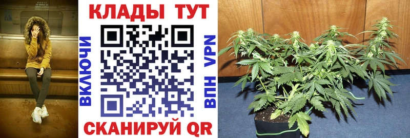 Наркошоп купить Канабис  APVP  Кокаин  ГАШ  Амфетамин  Меф мяу мяу  Серпухов