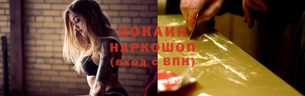 сатива Костерёво